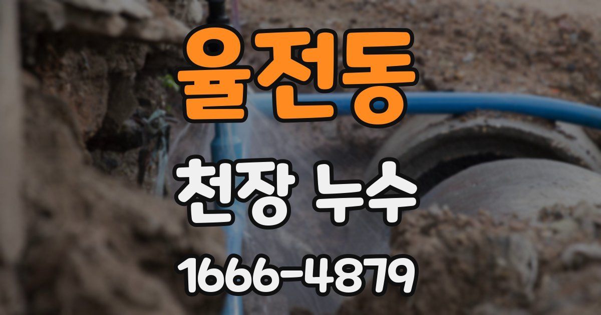 율전동 천장 누수