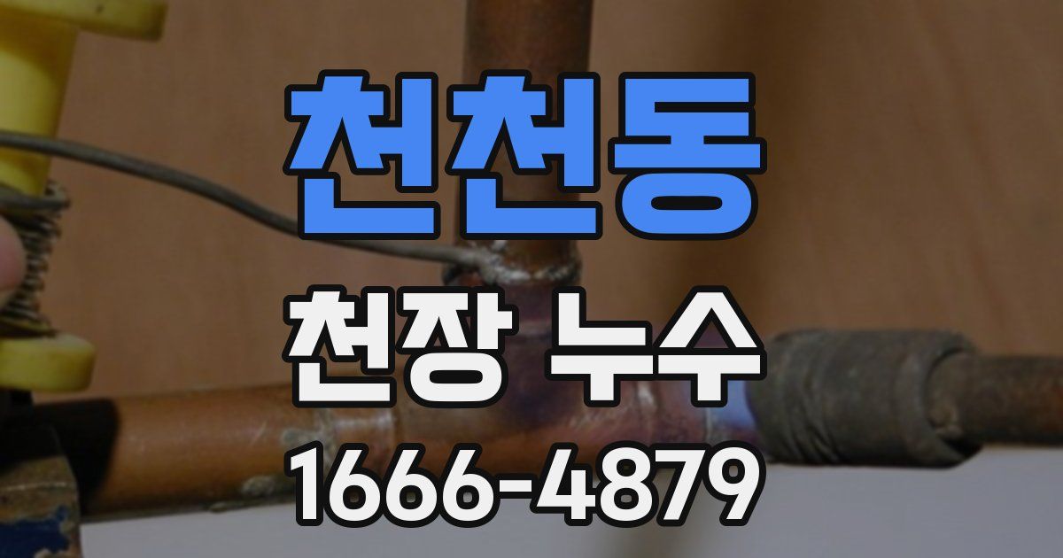 천천동 천장 누수