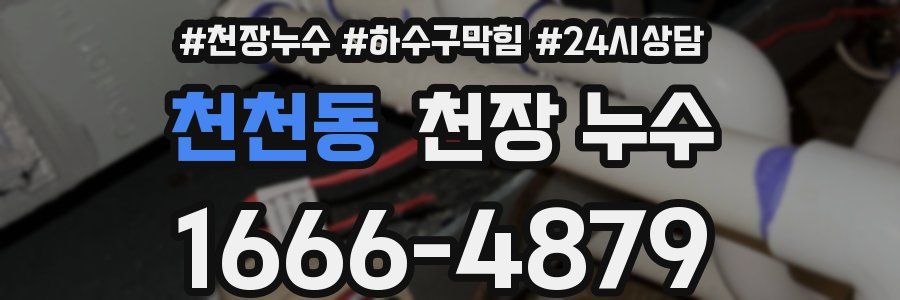 천천동 천장 누수