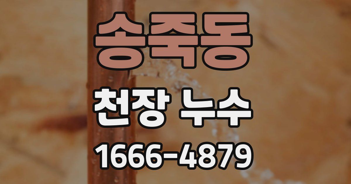 송죽동 천장 누수
