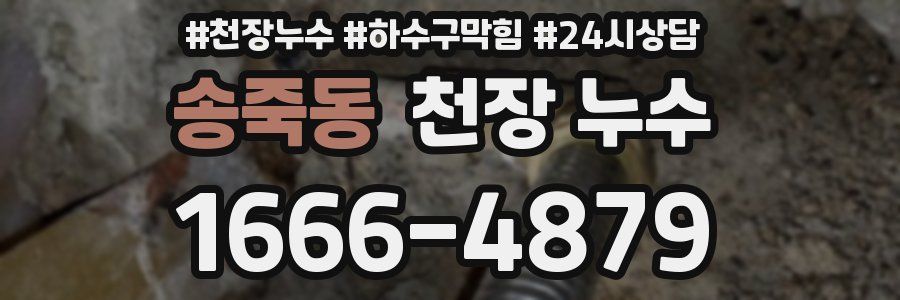 송죽동 천장 누수