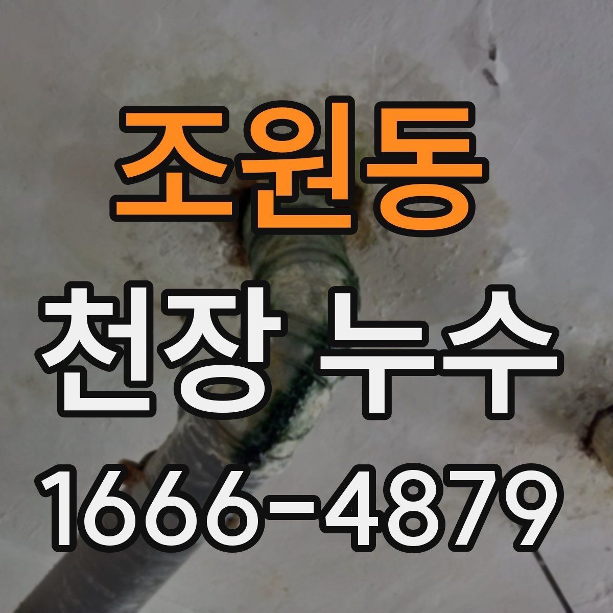 조원동 천장 누수 점검구 주변이 축축하면 위층 배관 가능성