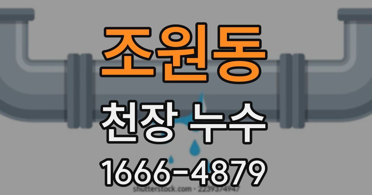 조원동 천장 누수