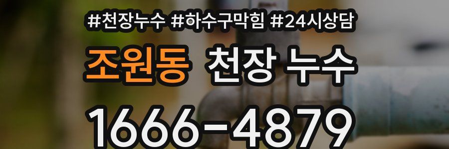 조원동 천장 누수