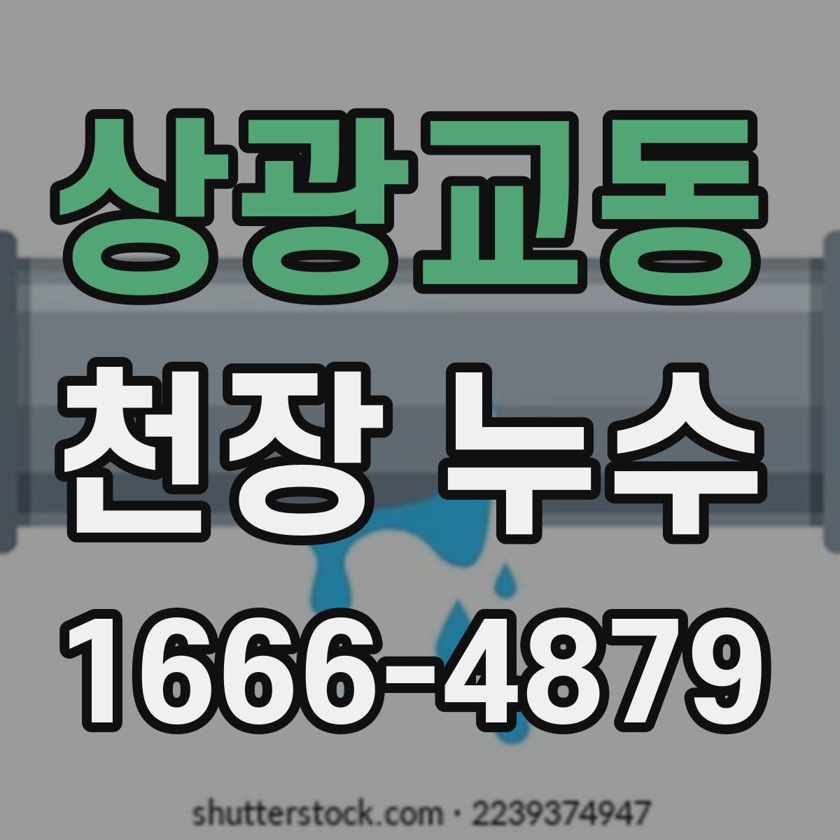 상광교동 천장 누수