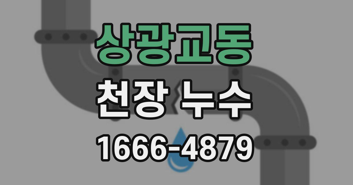 상광교동 천장 누수