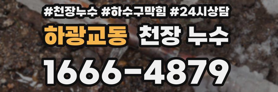 하광교동 천장 누수