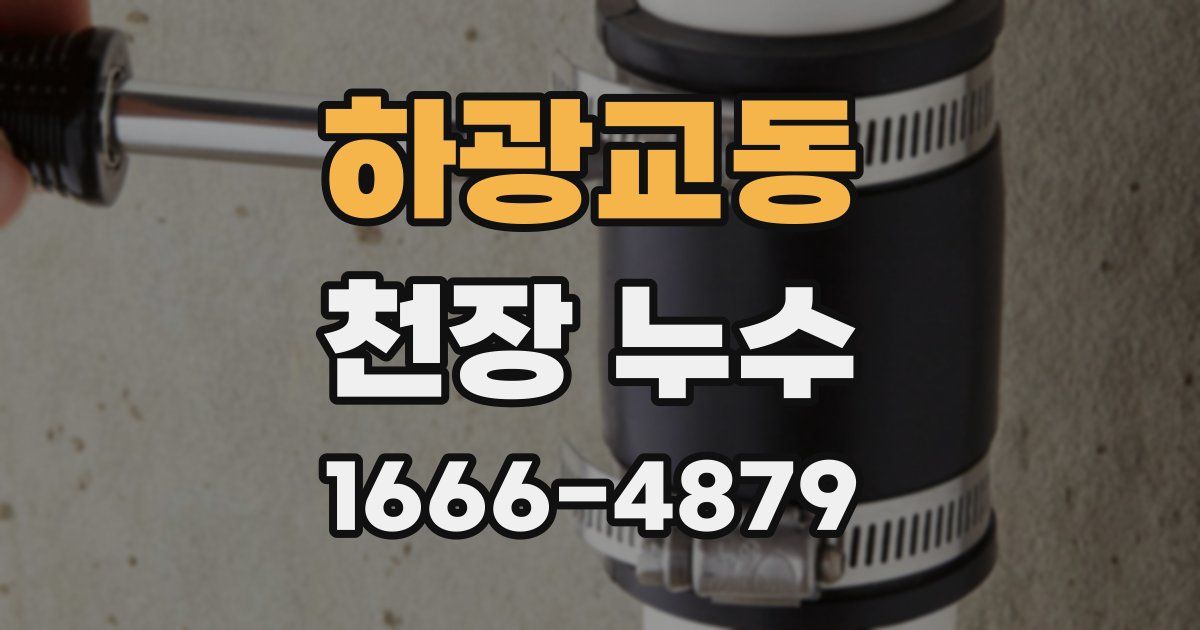 하광교동 천장 누수