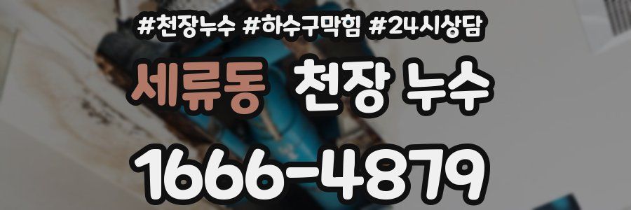 세류동 천장 누수