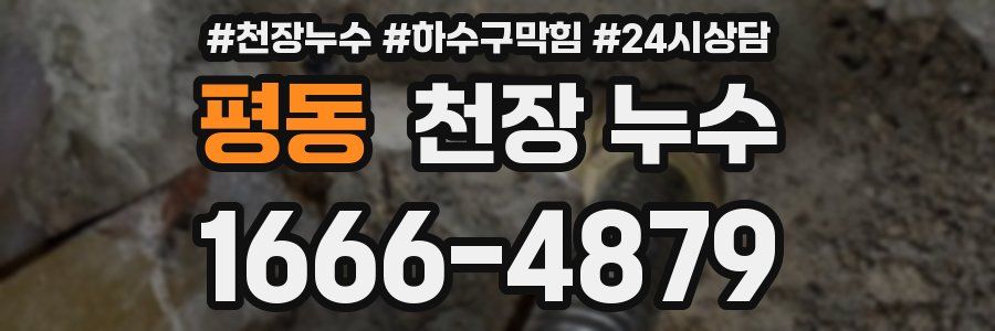 평동 천장 누수