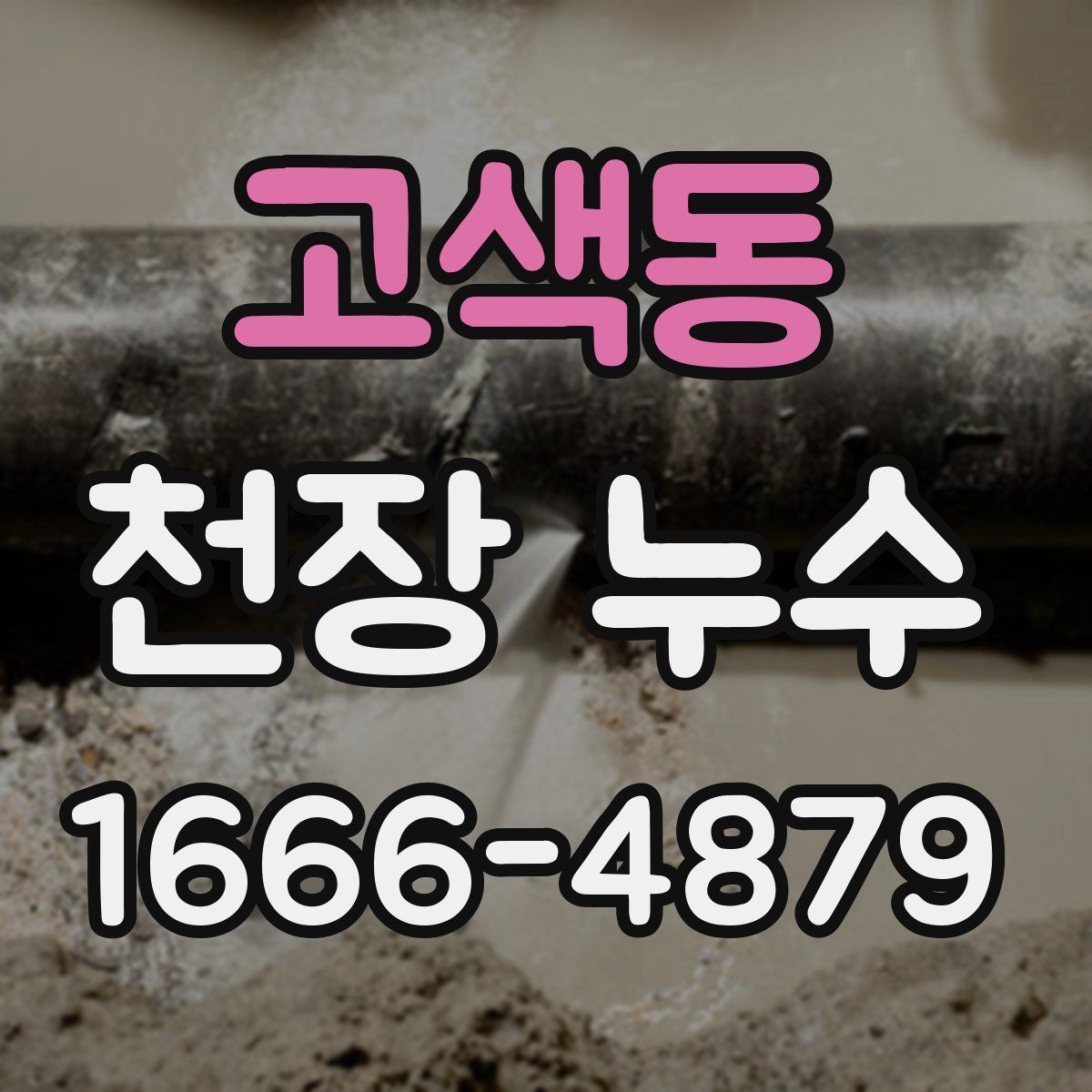 고색동 천장 누수