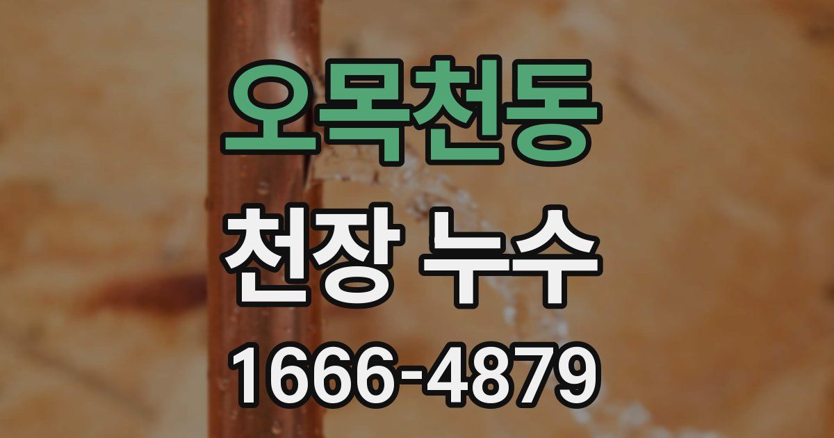 오목천동 천장 누수