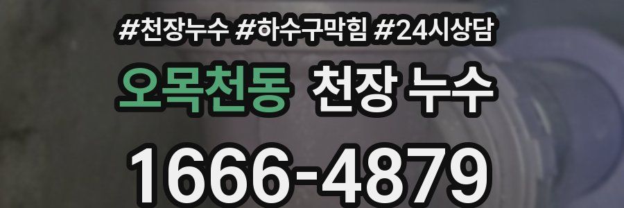 오목천동 천장 누수