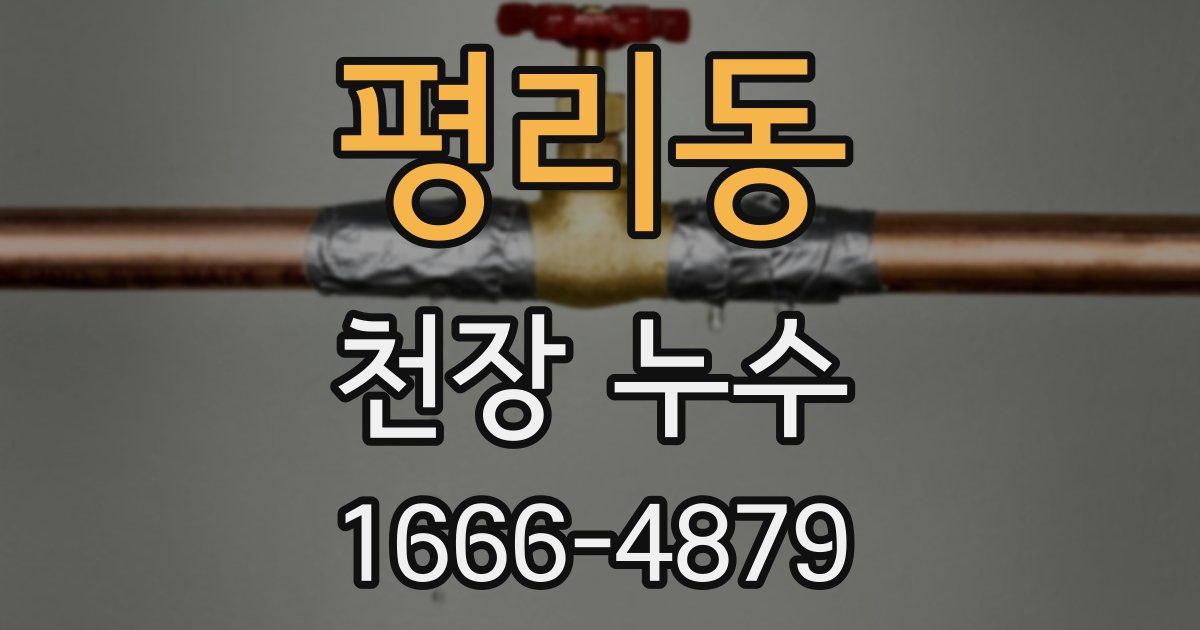 평리동 천장 누수