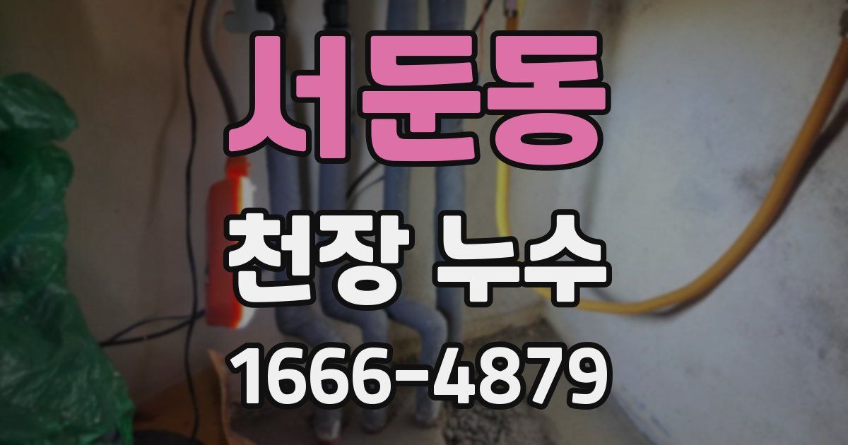 서둔동 천장 누수