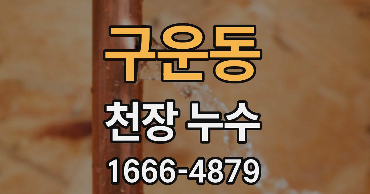 구운동 천장 누수