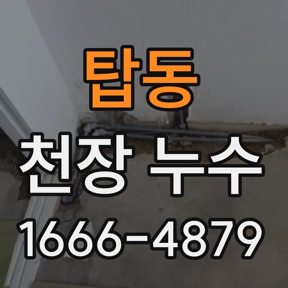 탑동 천장 누수 천장 속이 젖었는지 확인하는 방법
