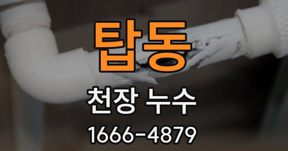 탑동 천장 누수