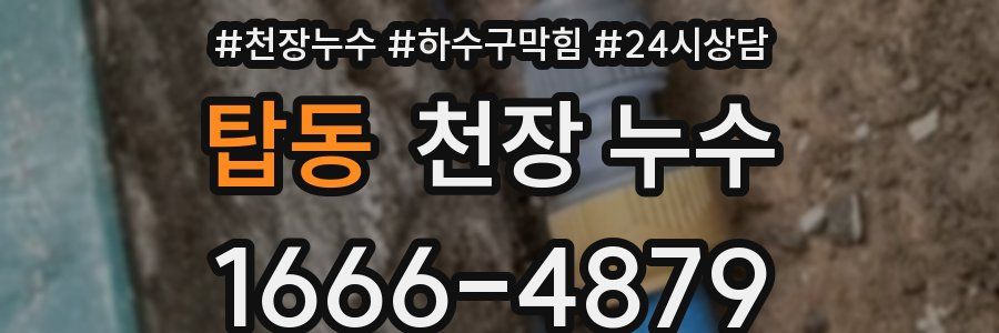 탑동 천장 누수