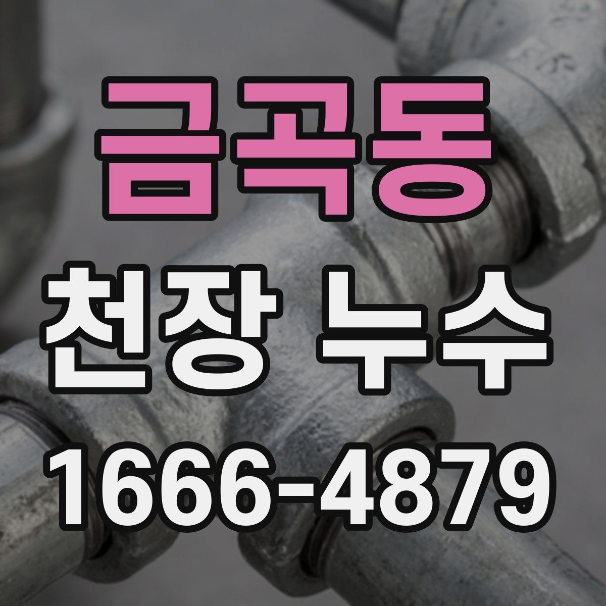 금곡동 천장 누수 천장 단열재가 젖으면 생기는 문제