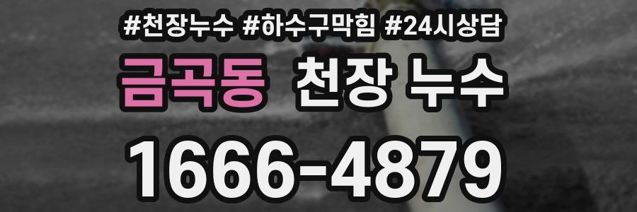 금곡동 천장 누수