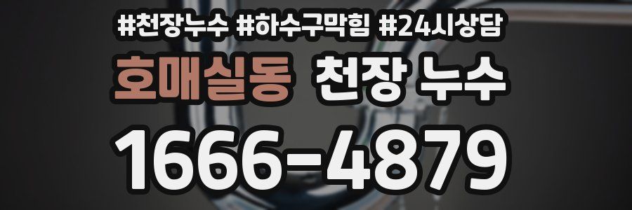 호매실동 천장 누수