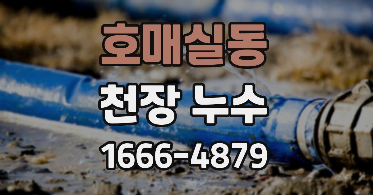 호매실동 천장 누수