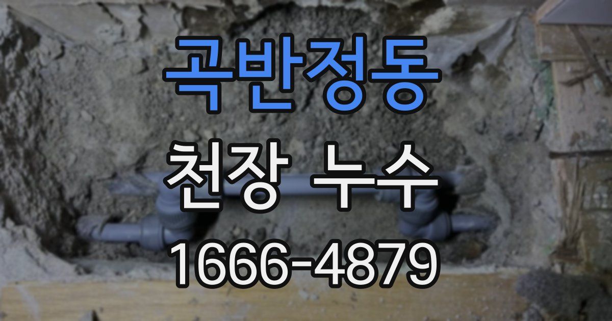 곡반정동 천장 누수