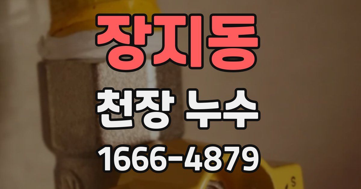 장지동 천장 누수