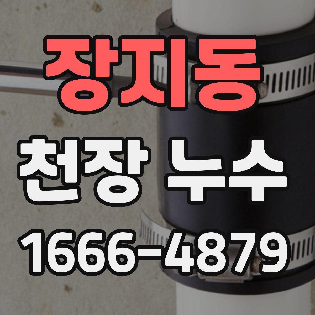 장지동 천장 누수