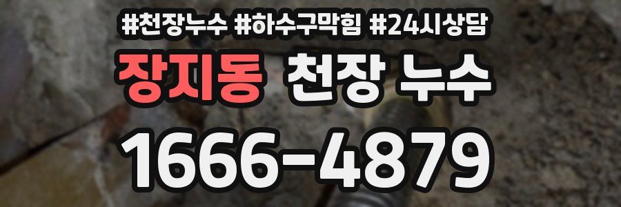 장지동 천장 누수