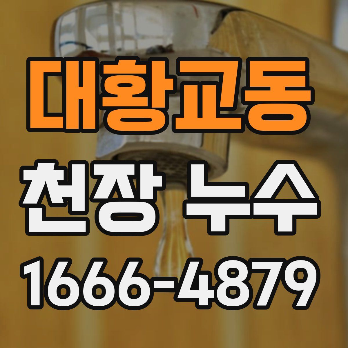 대황교동 천장 누수