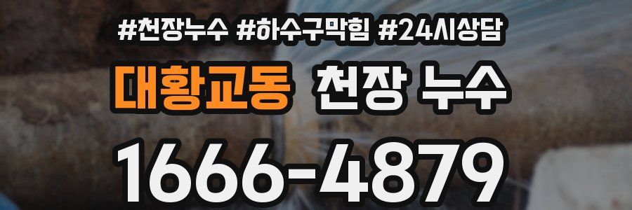 대황교동 천장 누수