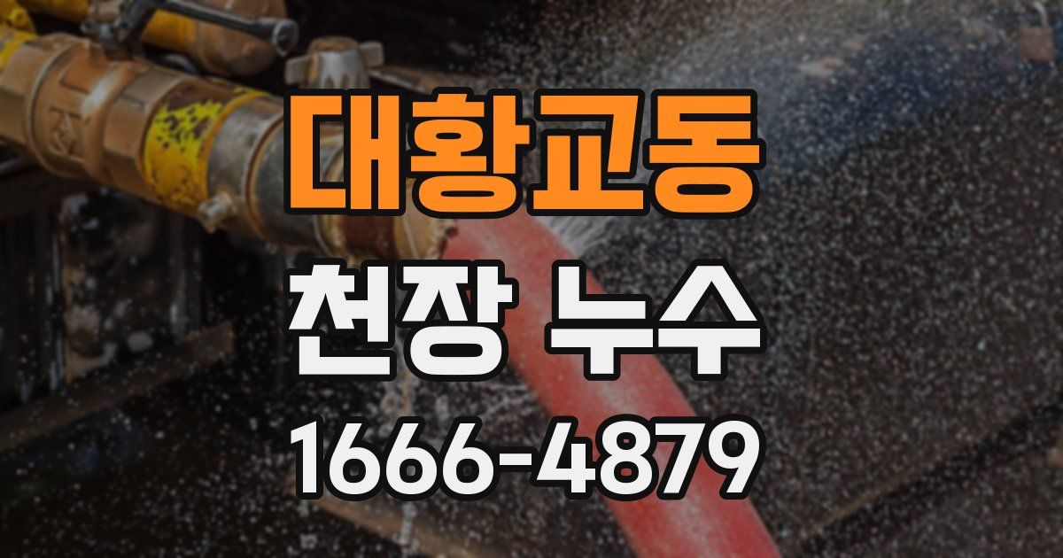 대황교동 천장 누수