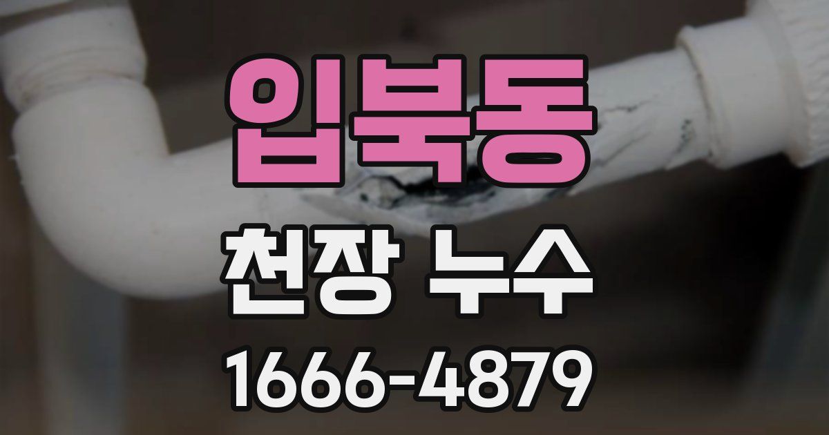 입북동 천장 누수