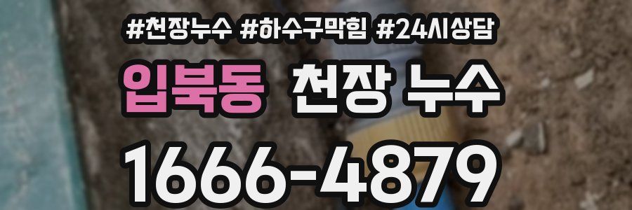 입북동 천장 누수