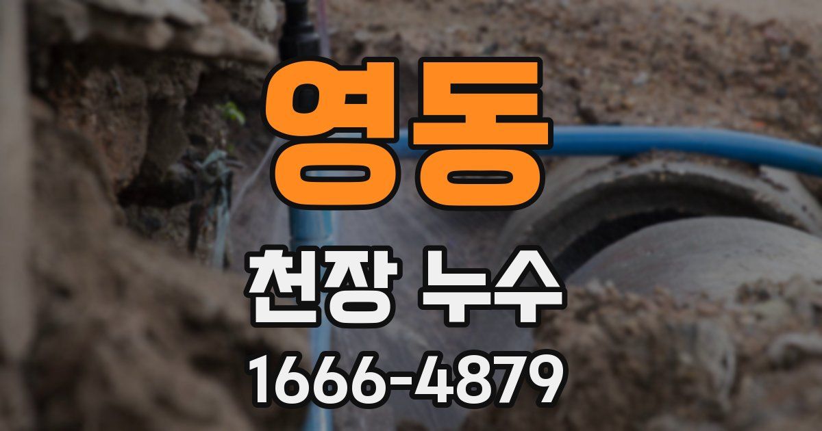 영동 천장 누수