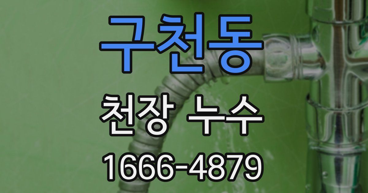 구천동 천장 누수