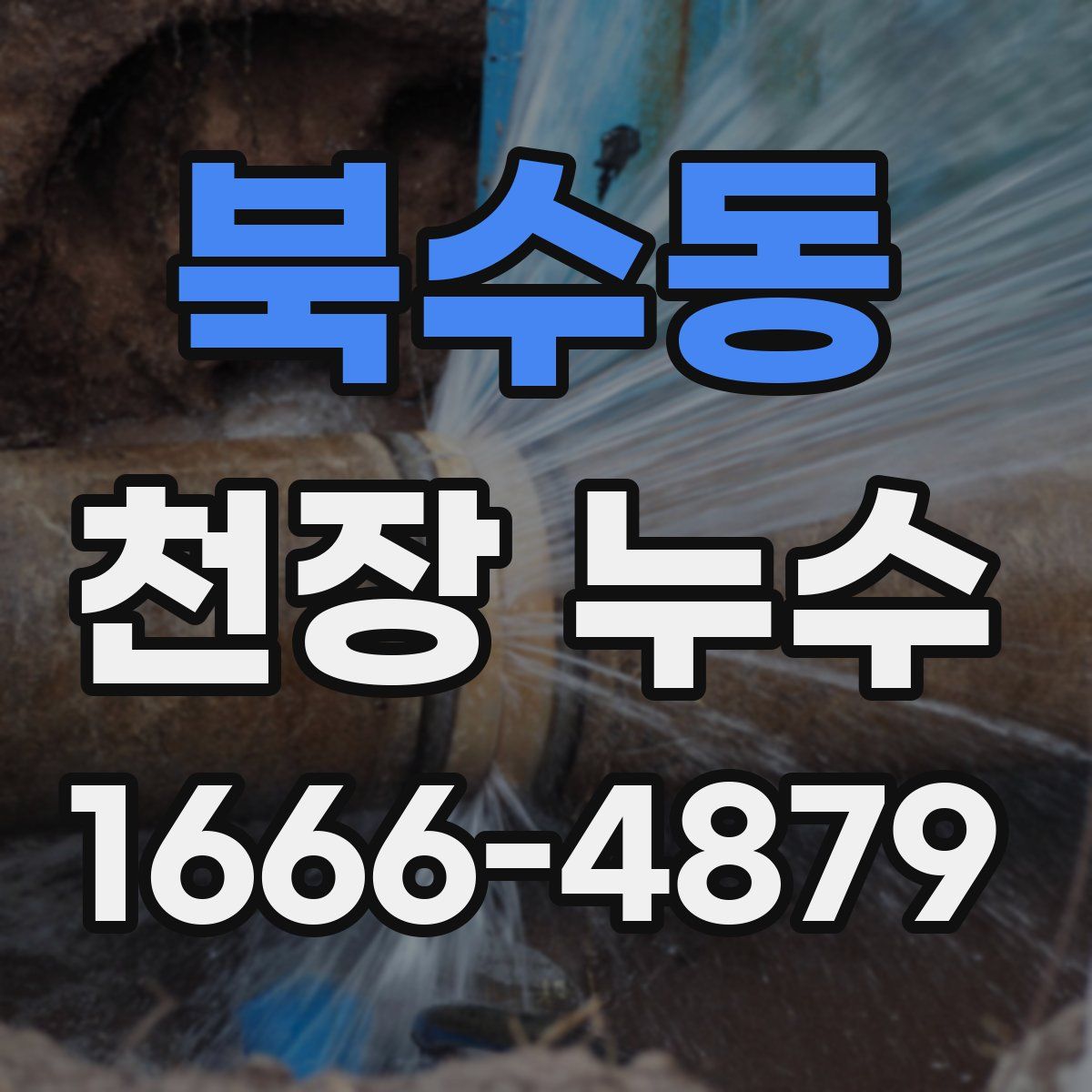 북수동 천장 누수