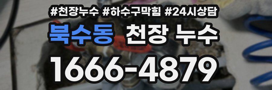 북수동 천장 누수