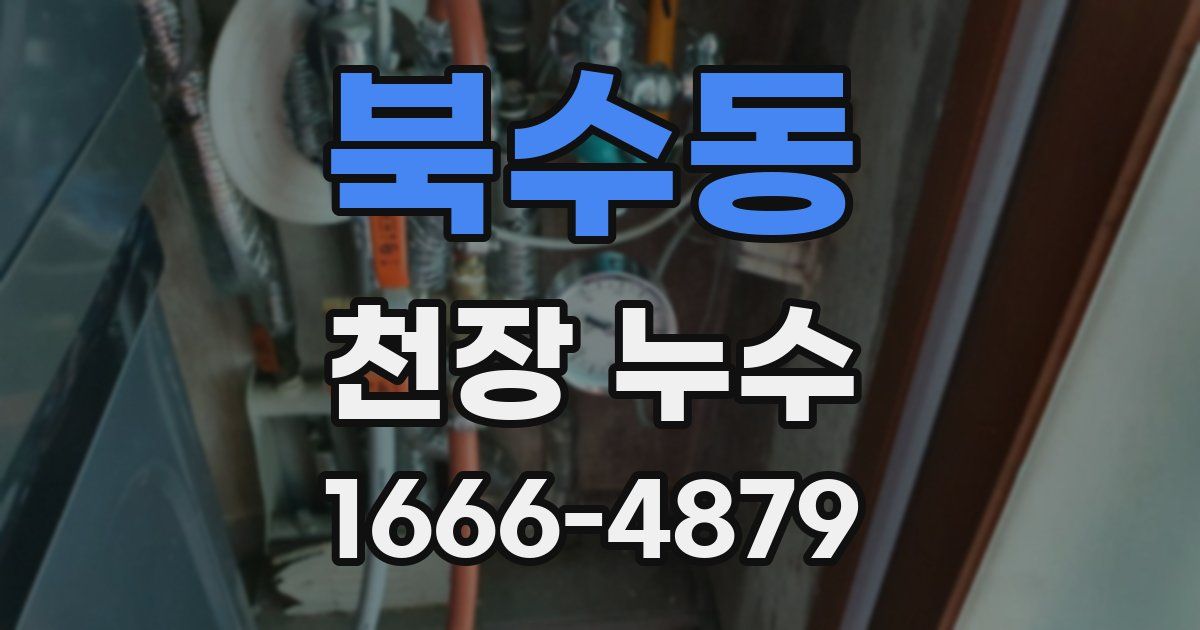 북수동 천장 누수