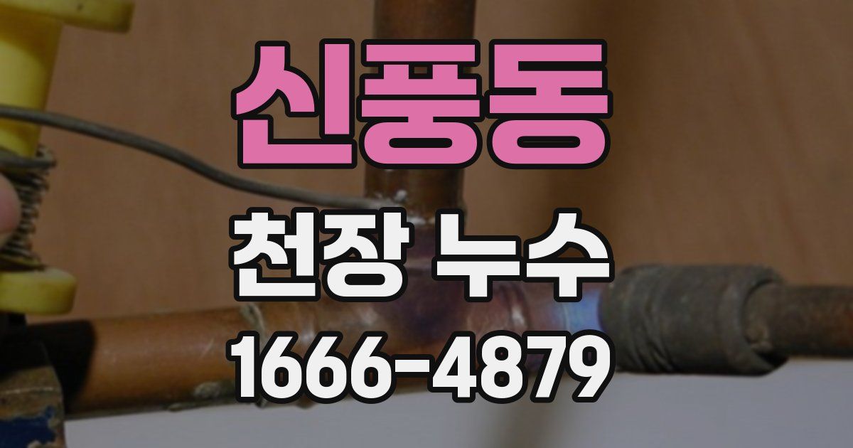 신풍동 천장 누수