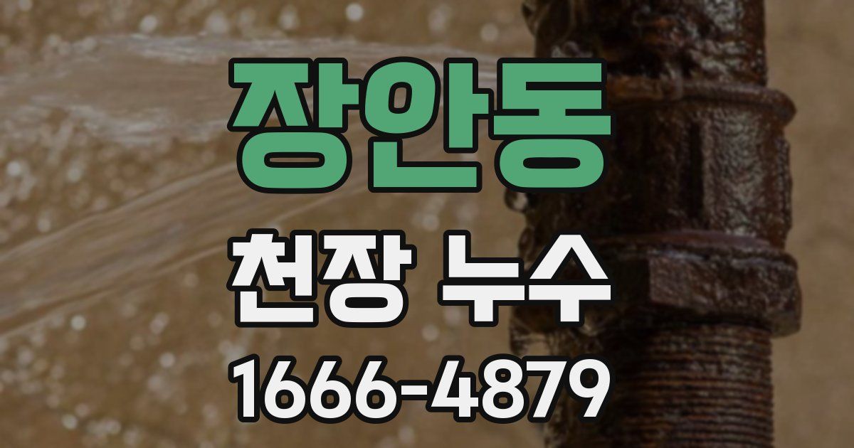장안동 천장 누수