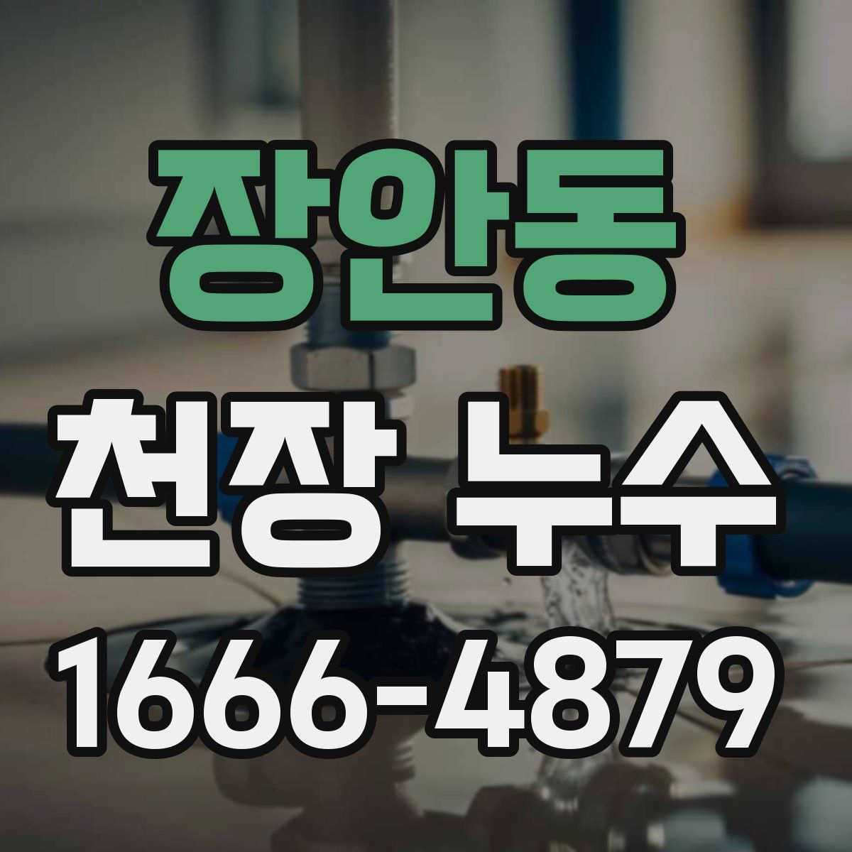 장안동 천장 누수