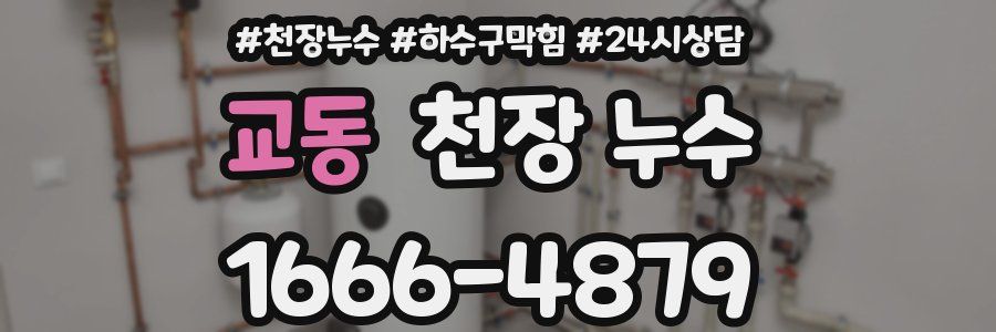 교동 천장 누수