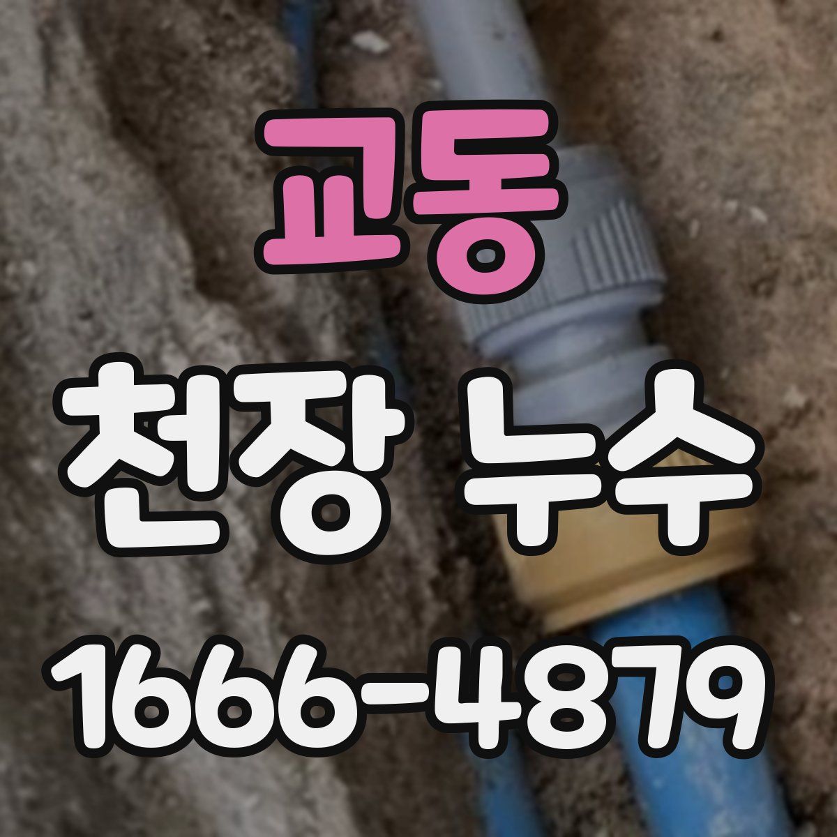 교동 천장 누수