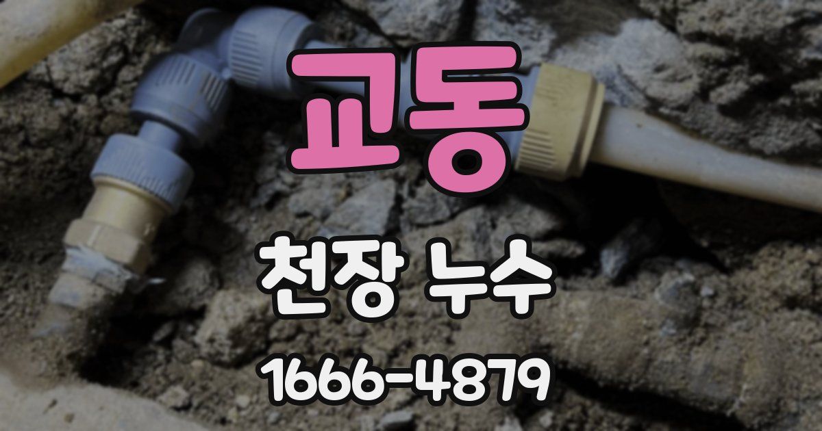 교동 천장 누수