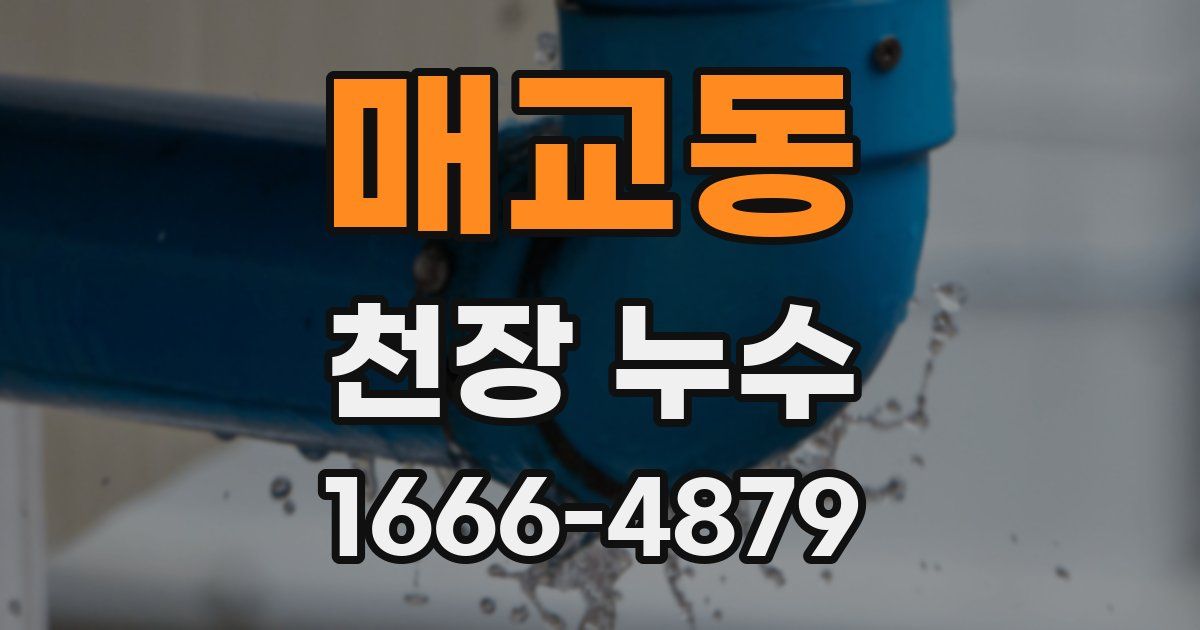 매교동 천장 누수