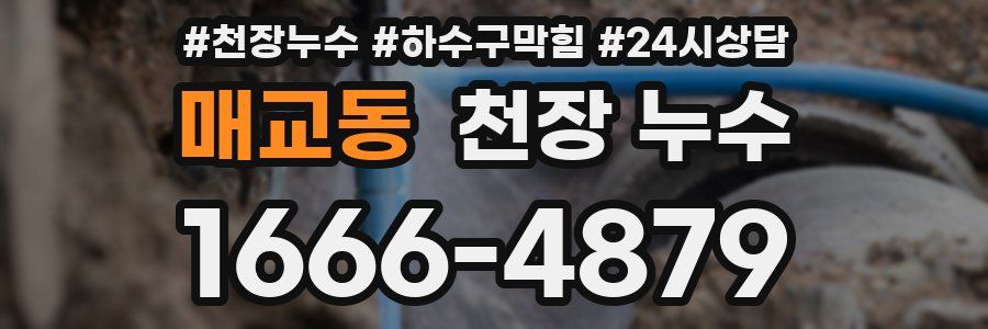 매교동 천장 누수