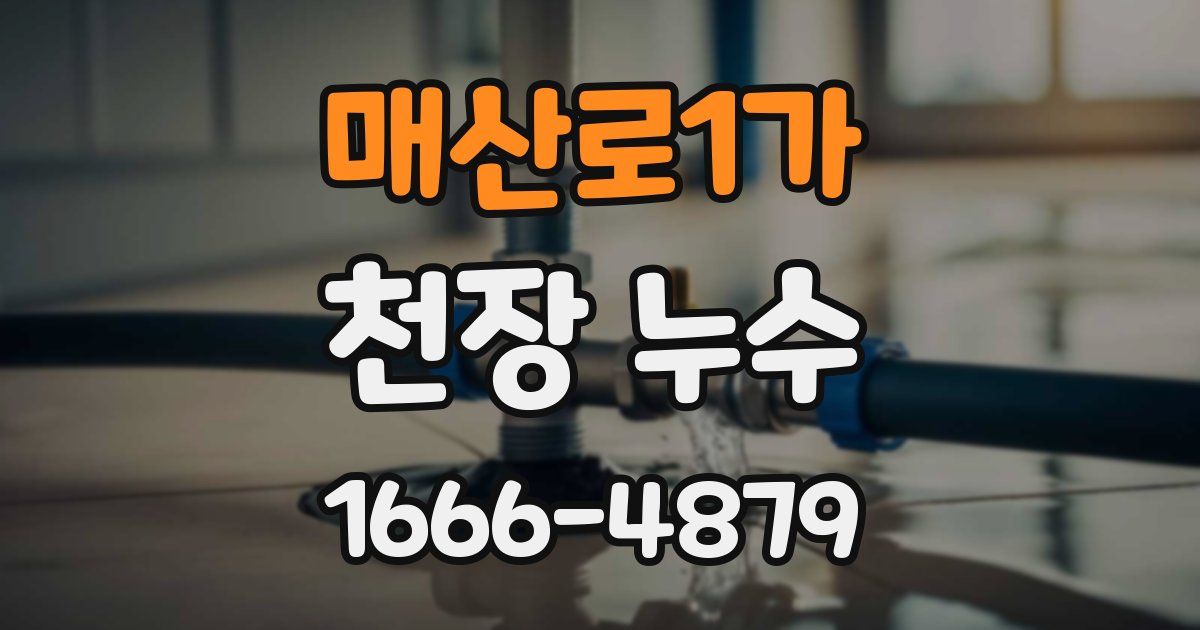 매산로1가 천장 누수